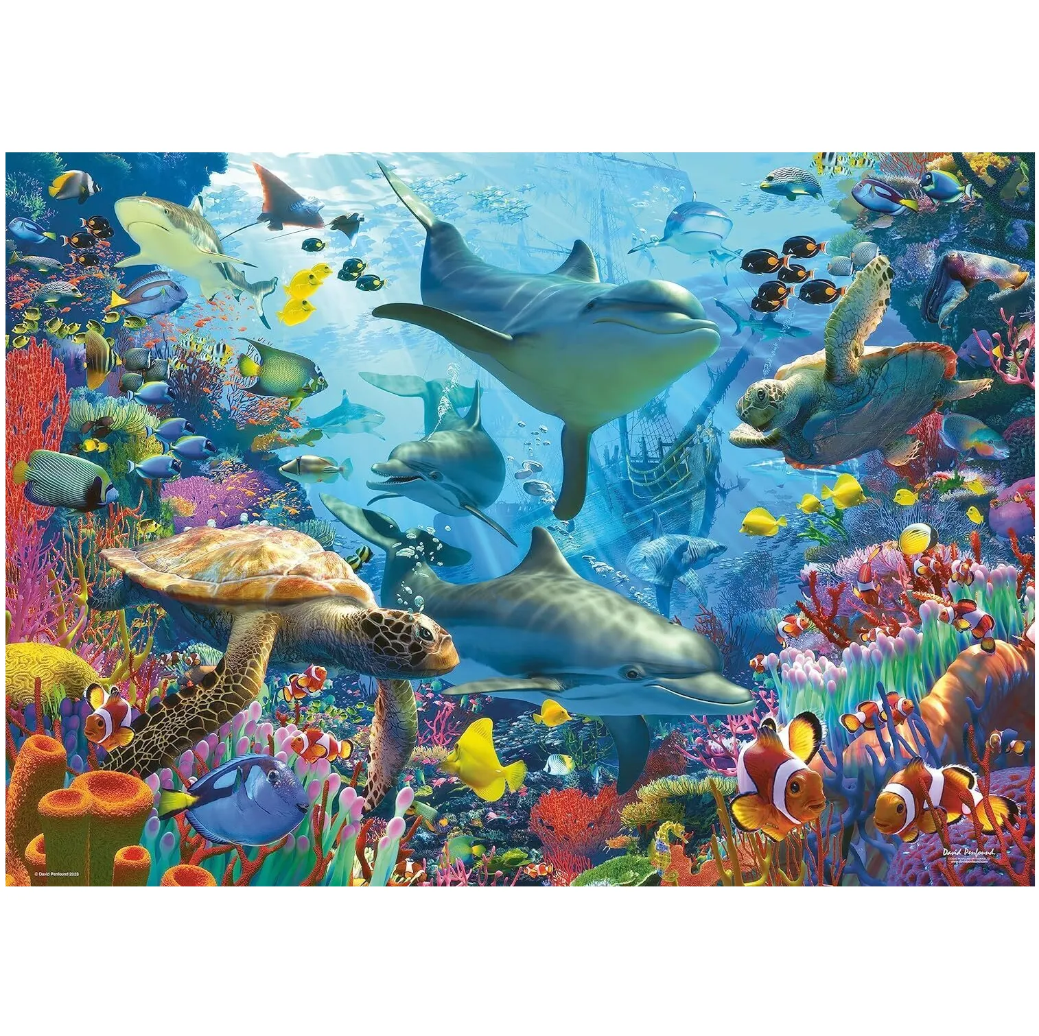 1000 pc Puzzle - Coral Retreat