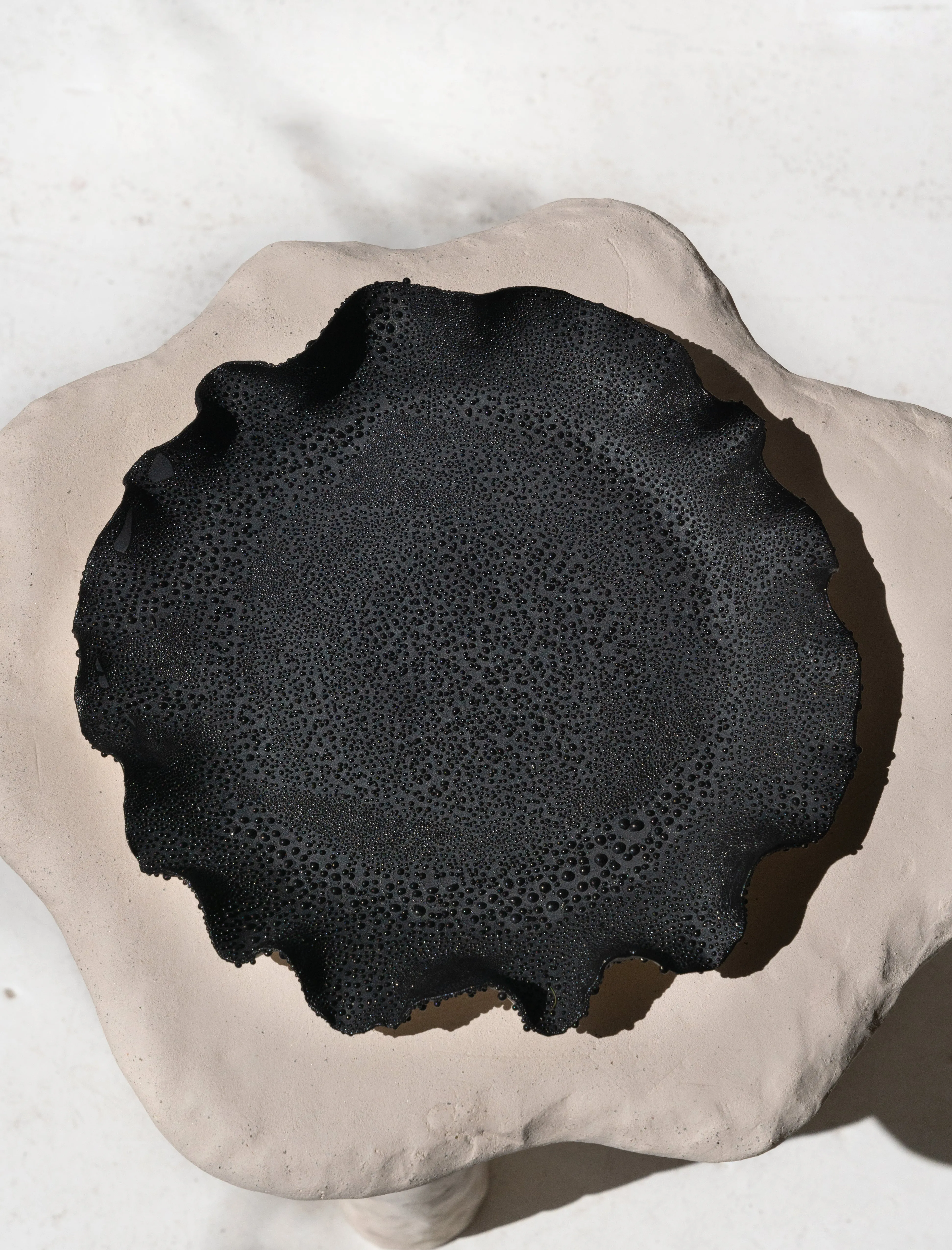 Black Lichen Platter Plate