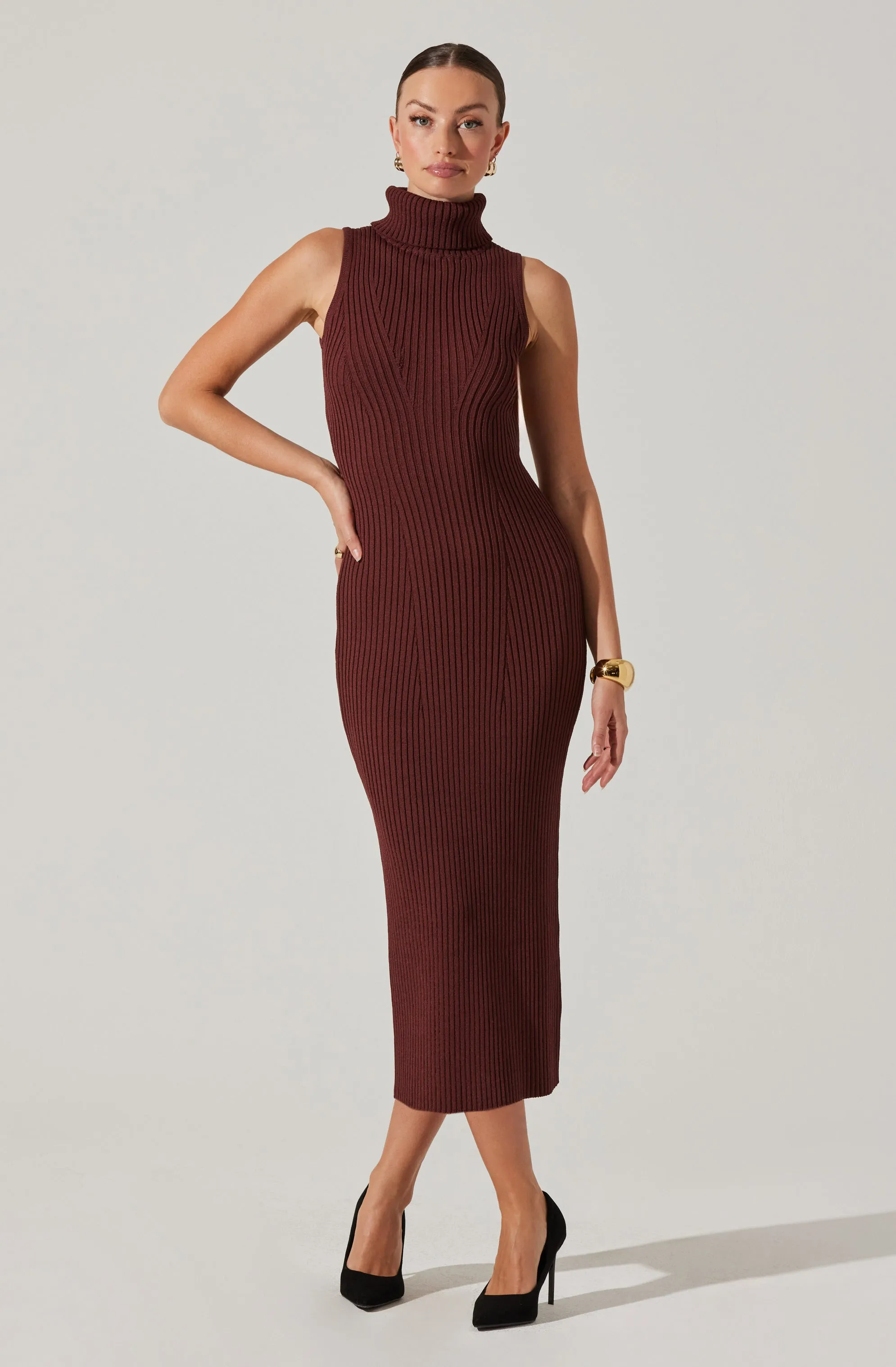 Channary Sleeveless Turtleneck Sweater Dress