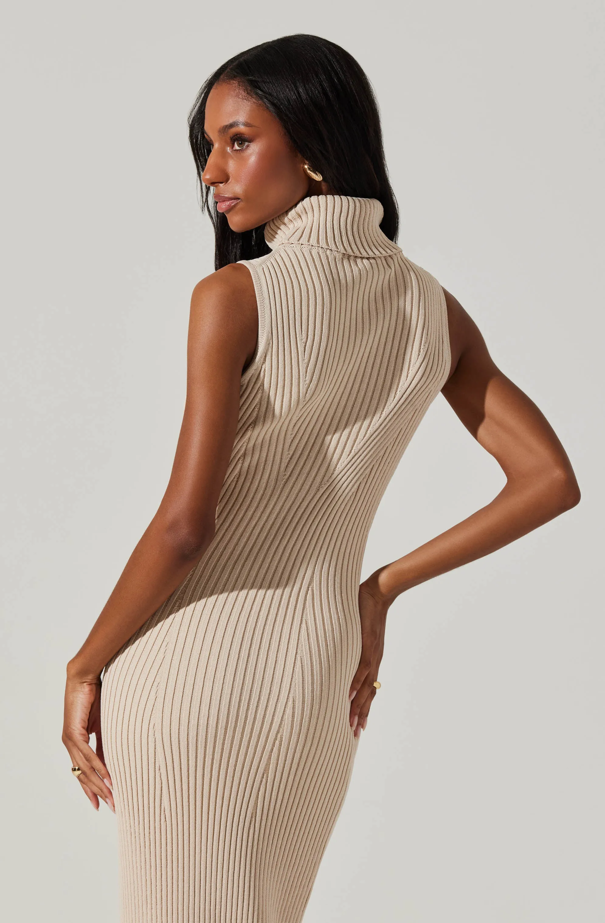 Channary Sleeveless Turtleneck Sweater Dress