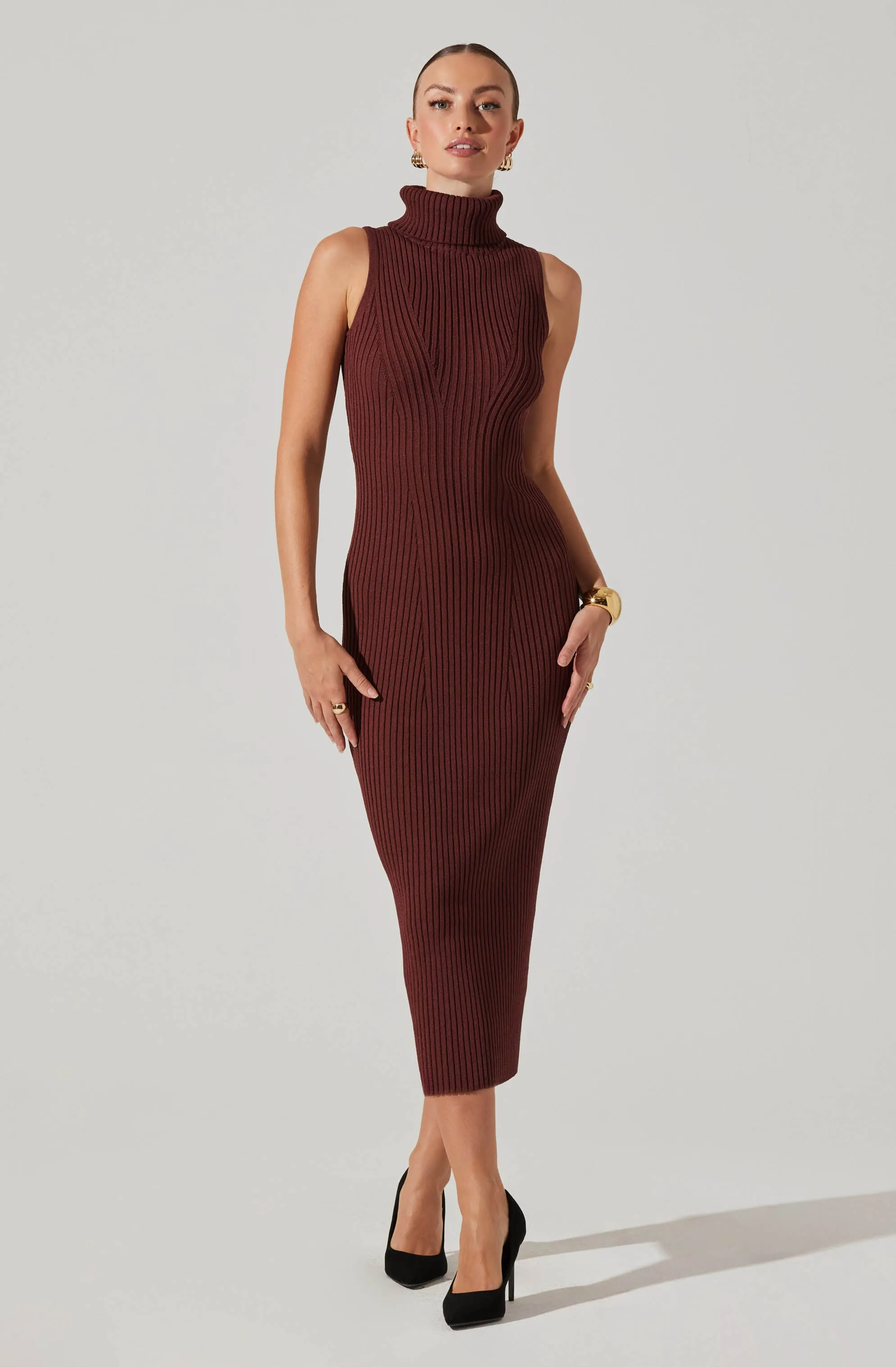 Channary Sleeveless Turtleneck Sweater Dress