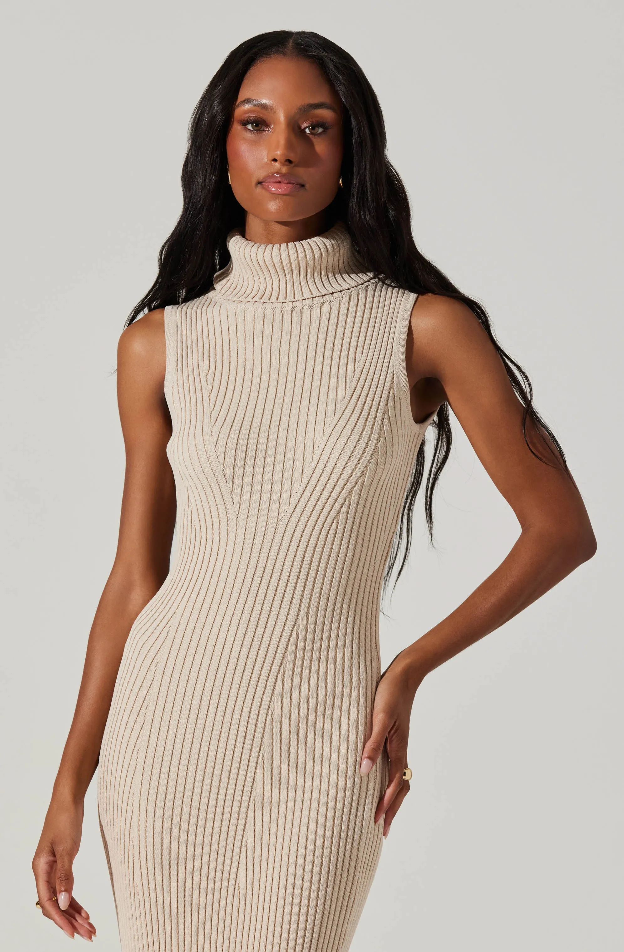 Channary Sleeveless Turtleneck Sweater Dress