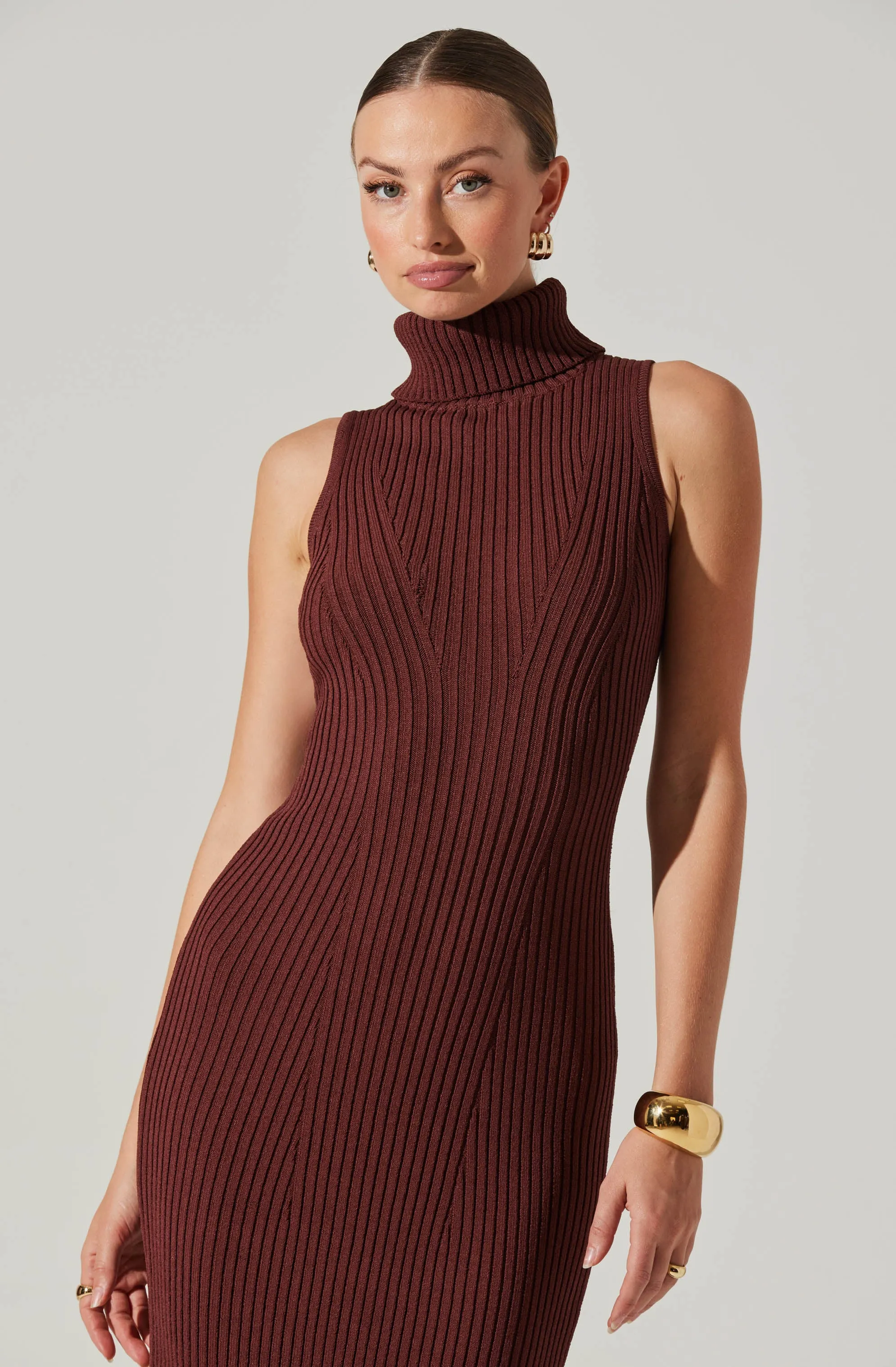 Channary Sleeveless Turtleneck Sweater Dress