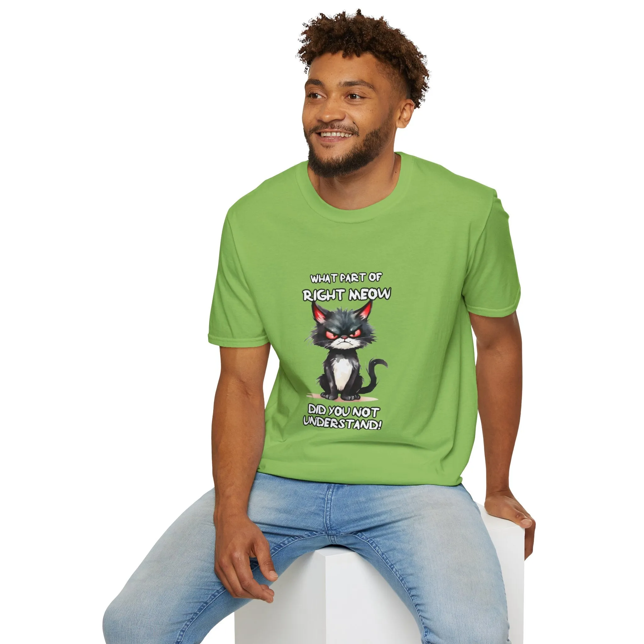 Grumpy Cat Unisex Softstyle T-Shirt