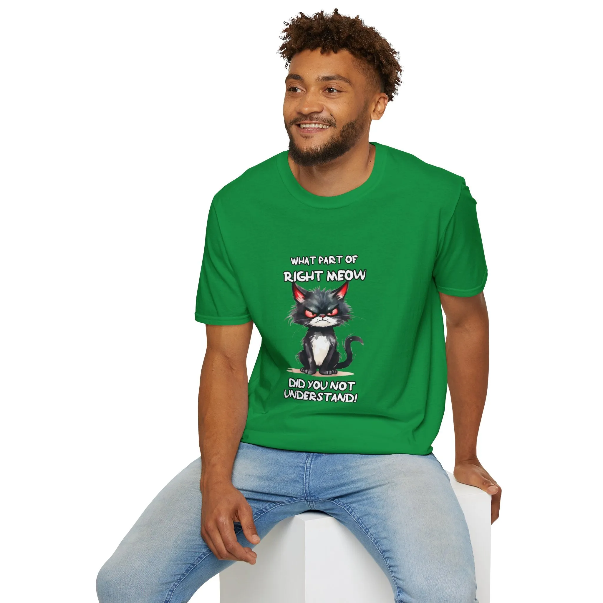 Grumpy Cat Unisex Softstyle T-Shirt