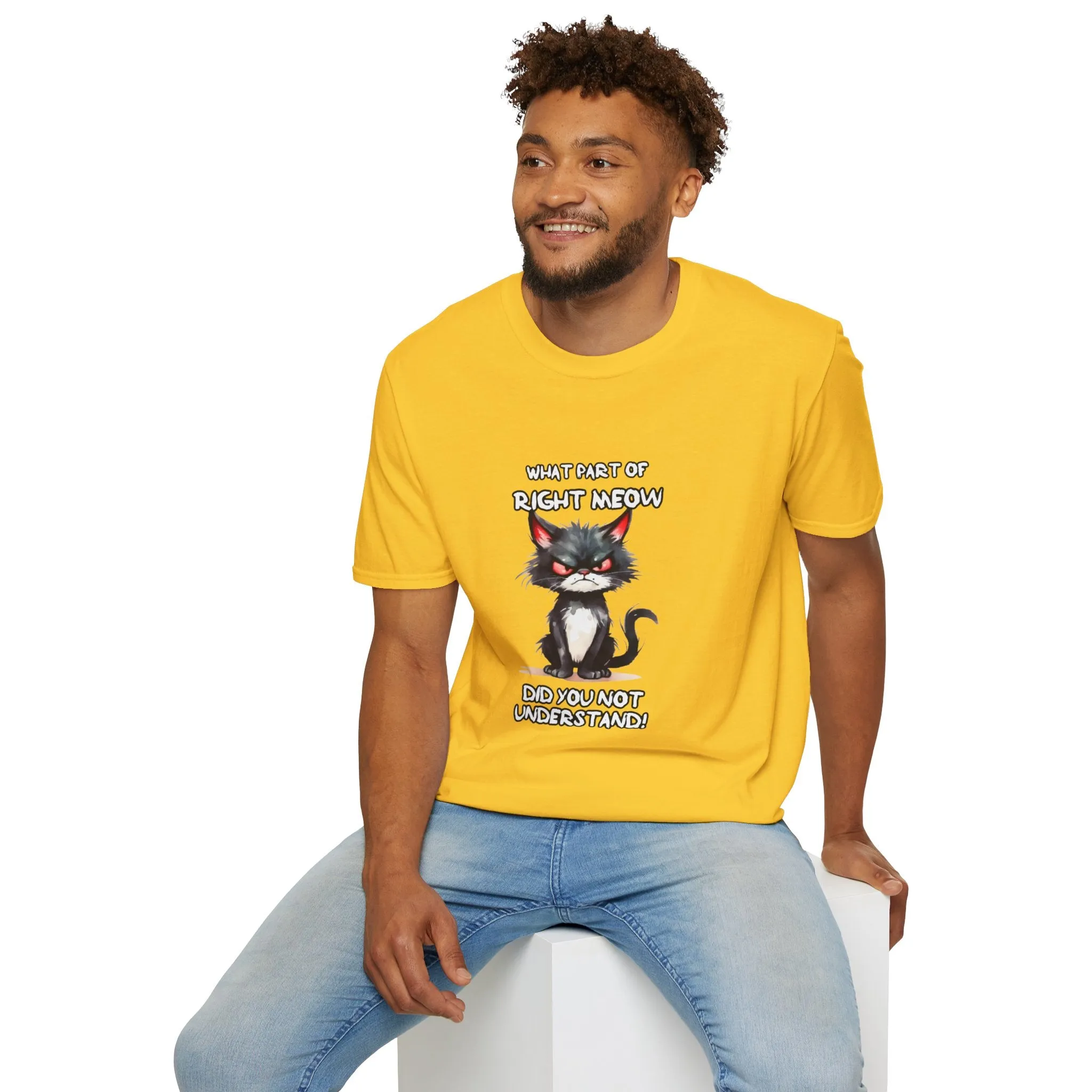 Grumpy Cat Unisex Softstyle T-Shirt