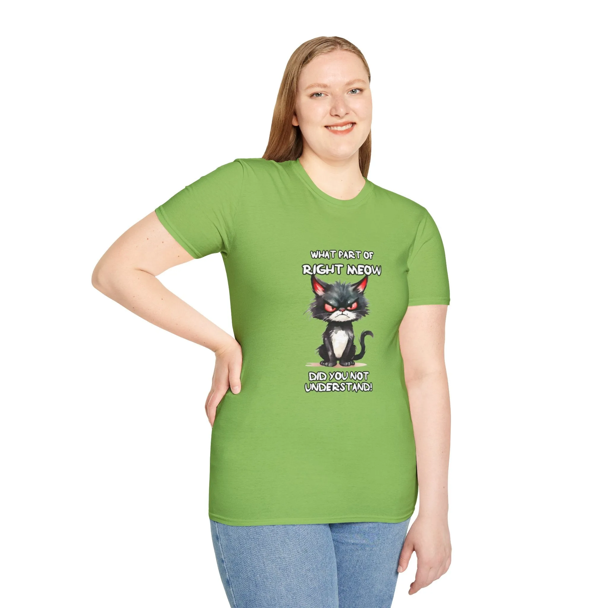 Grumpy Cat Unisex Softstyle T-Shirt