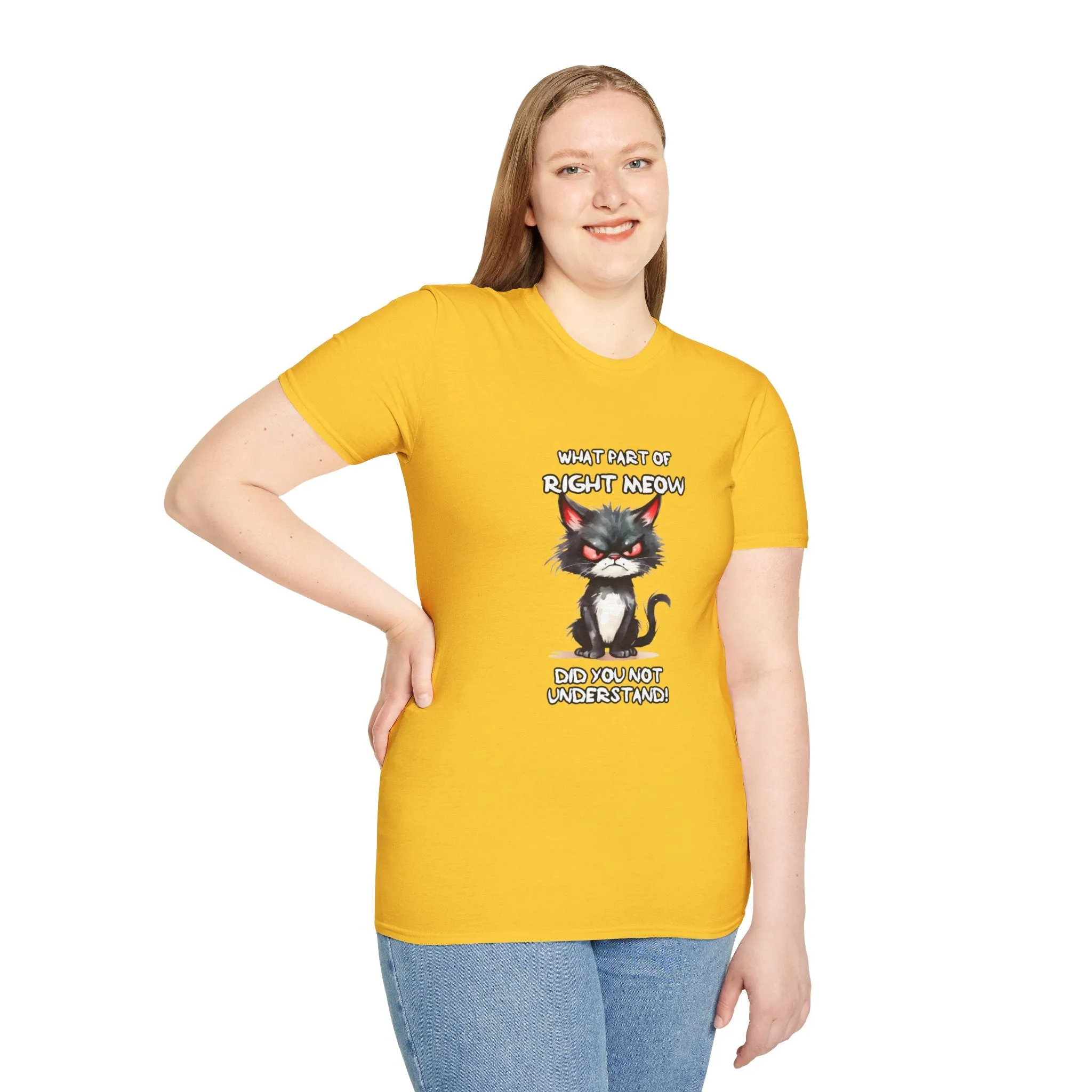 Grumpy Cat Unisex Softstyle T-Shirt